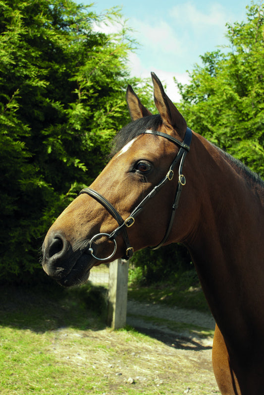 Heritage English Leather In-Hand Bridle - Top Of The Clops