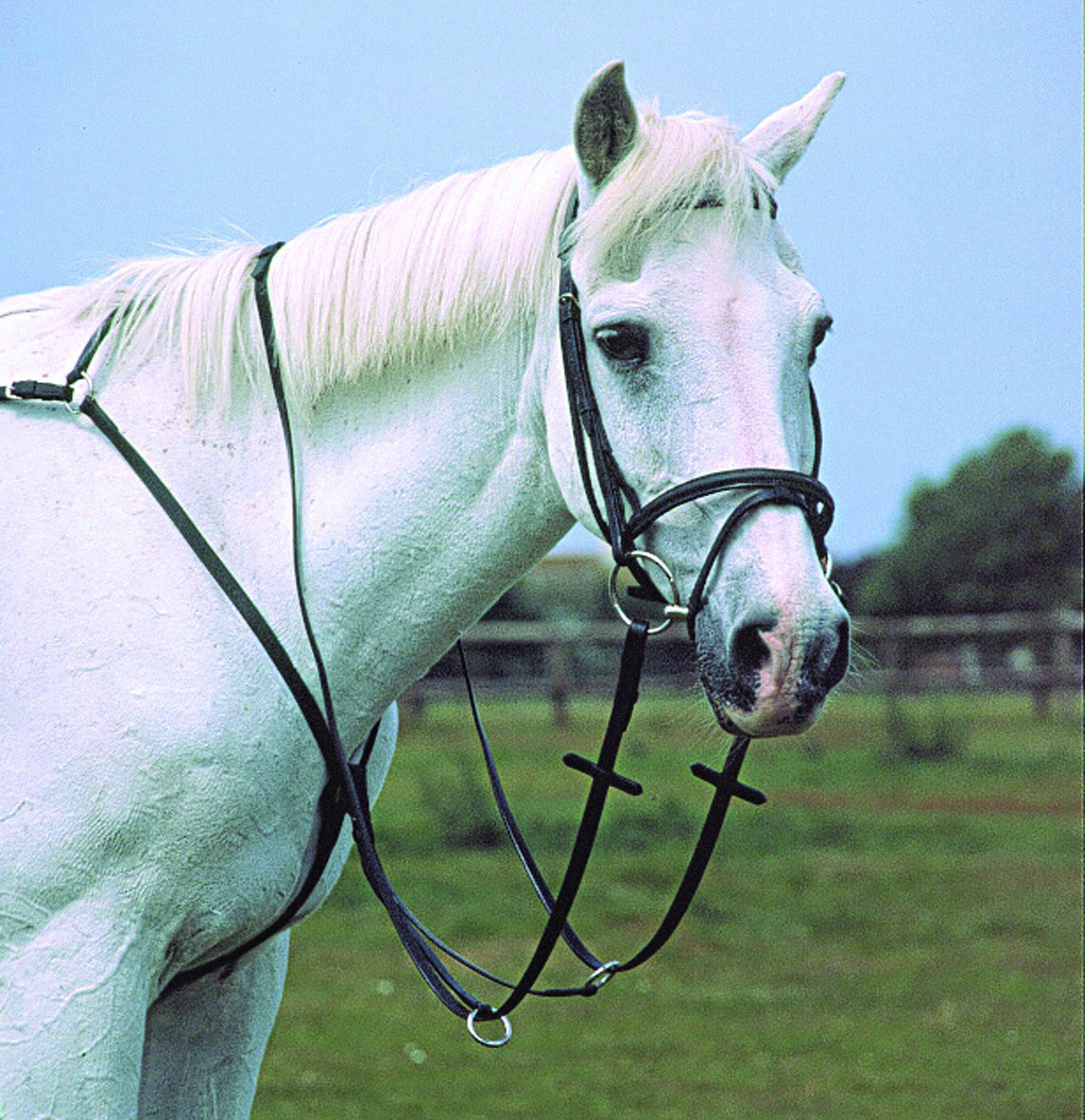 Heritage English Leather Breastplate - Top Of The Clops