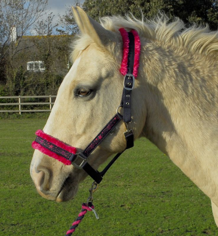 Rhinegold Crystal Star Headcollar & Rope Set - Top Of The Clops