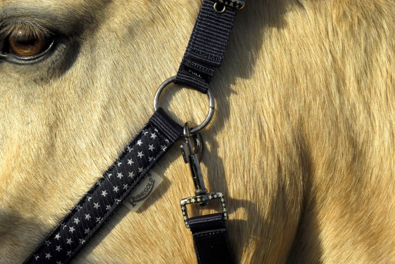 Rhinegold Star Spangled Headcollar & Rope Set - Top Of The Clops