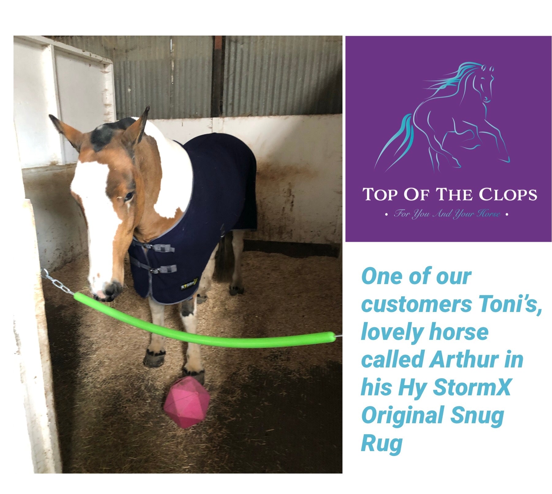 Hy StormX Original Snug Fleece Rugo - Top Of The Clops