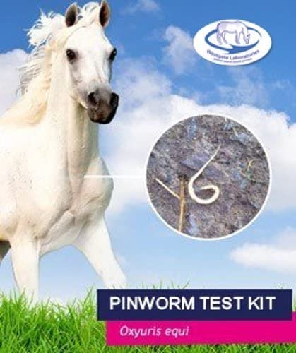 Westgate Labs Pin Worm Test Kit - Top Of The Clops