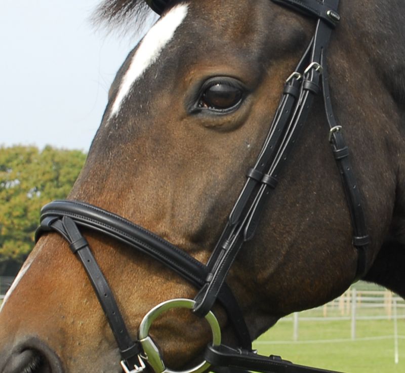 Heritage English Leather Flash Bridle - Top Of The Clops