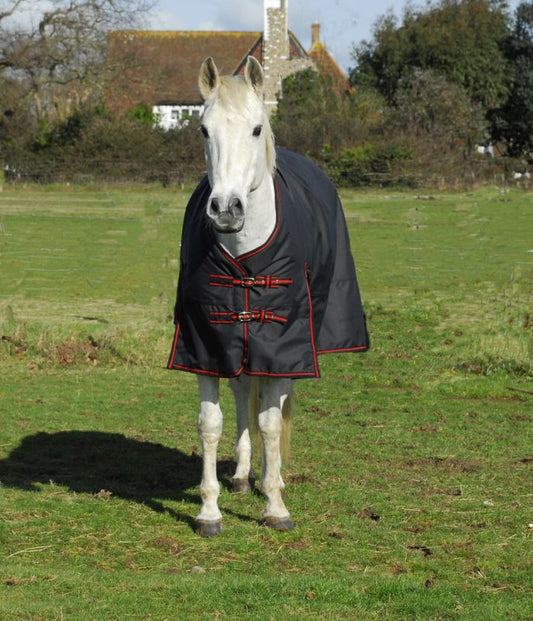 Rhinegold Thor Heavy Weight Standard Neck 350G Turnout - Top Of The Clops