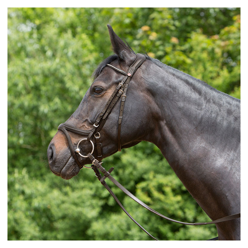 Kieffer Ultrasoft Tara Bridle - Top Of The Clops