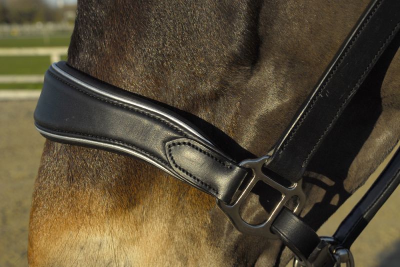 Rhinegold Rocco Italia Turin Leather Headcollar - Top Of The Clops