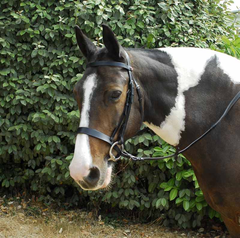 Windsor Leather Hunter Bridle - Top Of The Clops