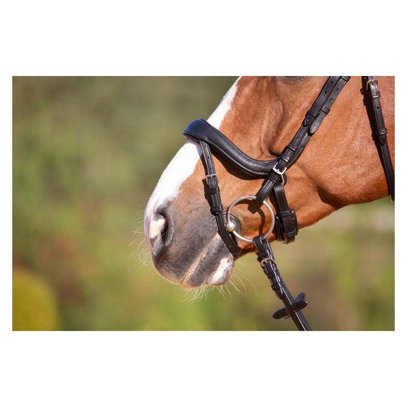 Kieffer Ultrasoft Amy Snaffle Bridle - Top Of The Clops