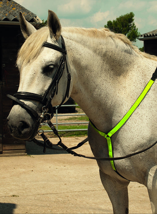 Harlequin Reflective Martingale - Top Of The Clops