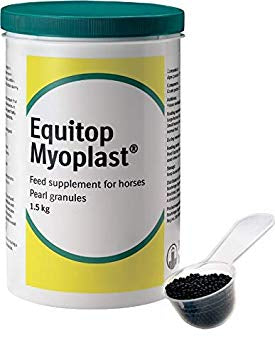 Equitop Myoplast - Top Of The Clops