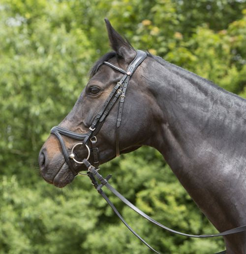 Kieffer Ultrasoft Tara Bridle - Top Of The Clops