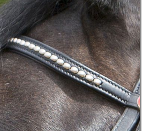 Kieffer Ultrasoft Tara Bridle - Top Of The Clops