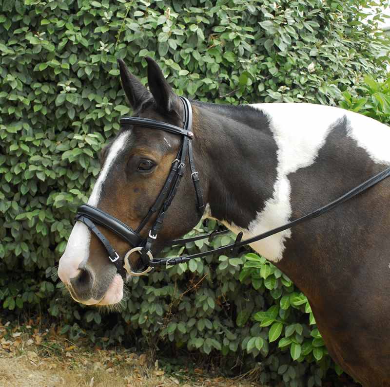 Windsor Leather Comfort Flash Bridle - Top Of The Clops