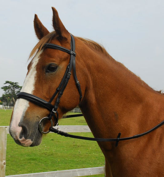 Heritage English Leather Comfort Cavesson Bridle - Top Of The Clops
