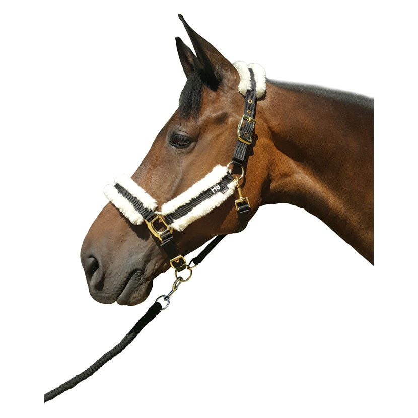 Hy Faux Sheepskin Head Collar - Top Of The Clops