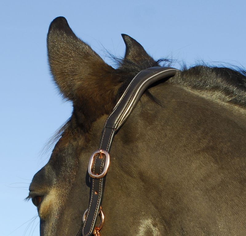 Rhinegold Rocco Italia Turin Leather Headcollar - Top Of The Clops