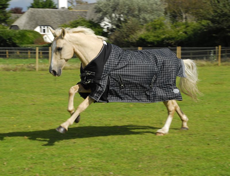 Rhinegold Montpelier Standard Neck 100g Turnout - Top Of The Clops