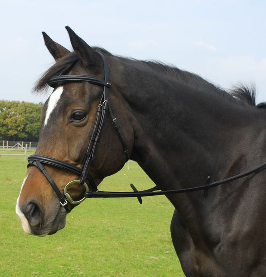 Heritage English Leather Flash Bridle - Top Of The Clops
