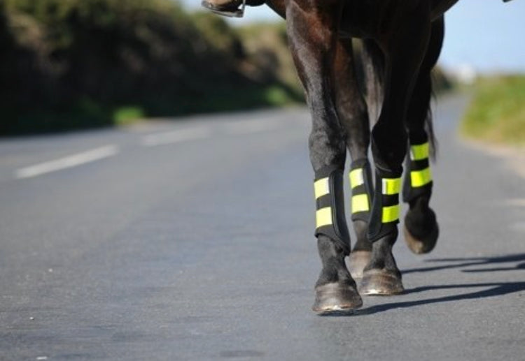 Woof Wear Reflective Club Brushing Boots - Top Of The Clops