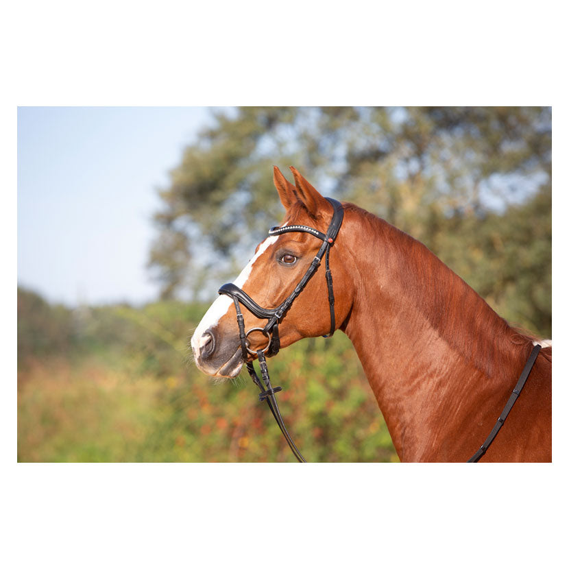 Kieffer Ultrasoft Amy Snaffle Bridle - Top Of The Clops