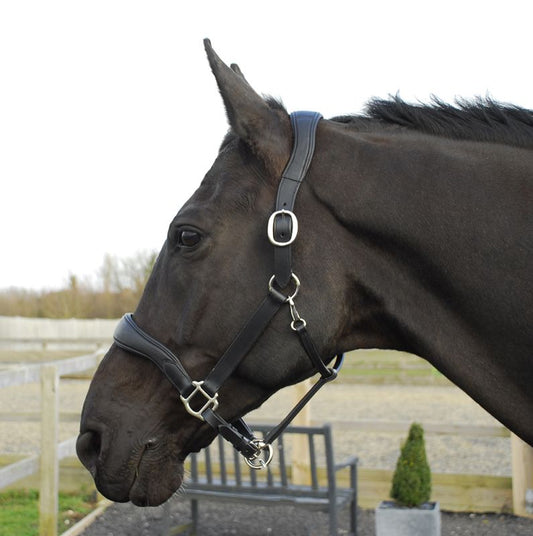 Rhinegold Softee Pro Anatomical HeadCollar - Top Of The Clops
