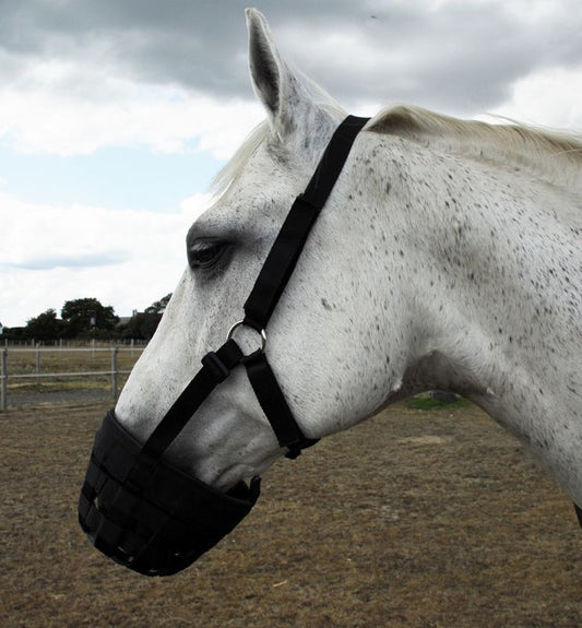 Rhinegold Grazing Muzzle - Top Of The Clops