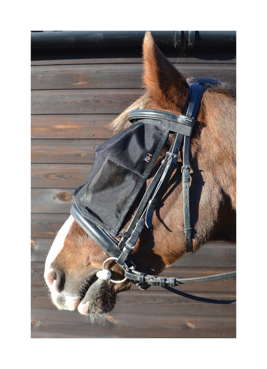 HY Riding Fly Mask - Top Of The Clops