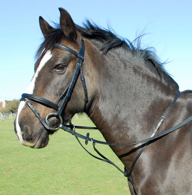 Heritage English Leather Running Martingale - Top Of The Clops
