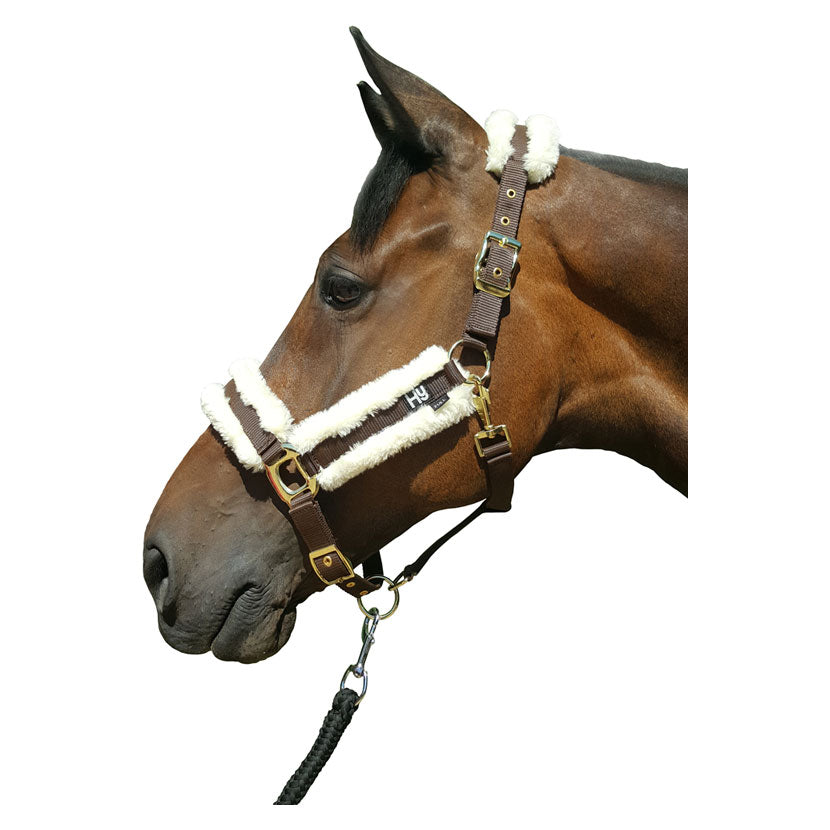 Hy Faux Sheepskin Head Collar - Top Of The Clops