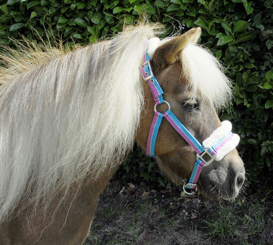 Rhinegold Bright Striped Fur Trim Shetland & Small Pony Headcollar - Top Of The Clops