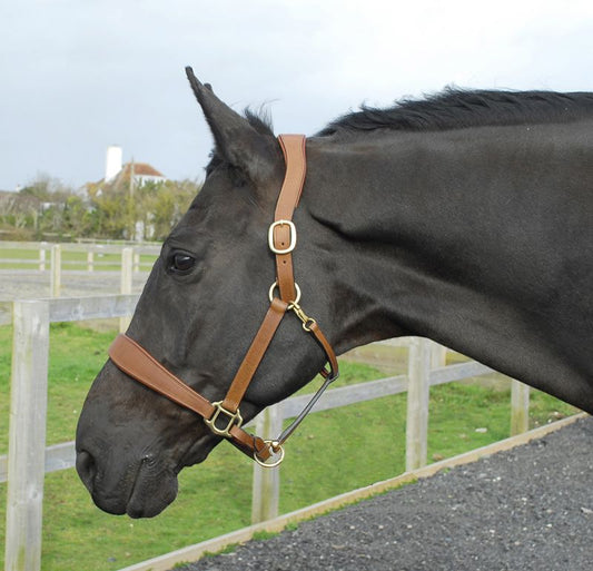 Rhinegold Anatomical HeadCollar - Top Of The Clops