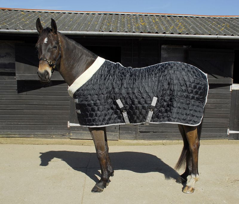 Rhinegold Detroit Hexagon Stable Quilt - Top Of The Clops