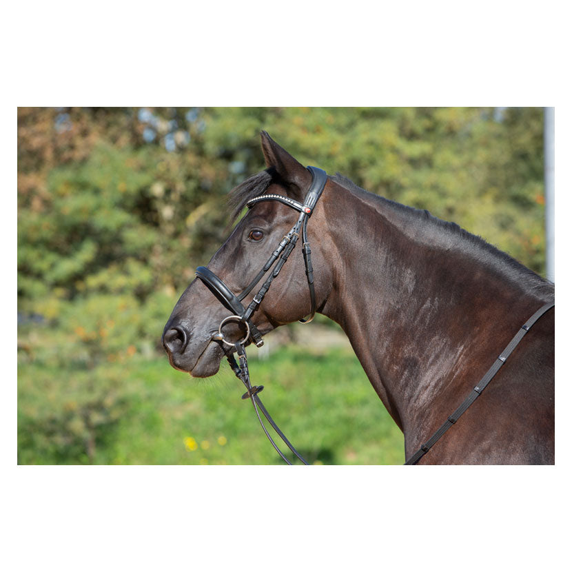 Kieffer Ultrasoft Sue Snaffle Bridle - Top Of The Clops