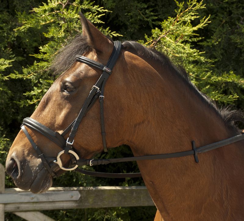 Windsor Leather Comfort Flash Bridle - Top Of The Clops