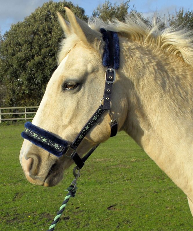 Rhinegold Crystal Star Headcollar & Rope Set - Top Of The Clops