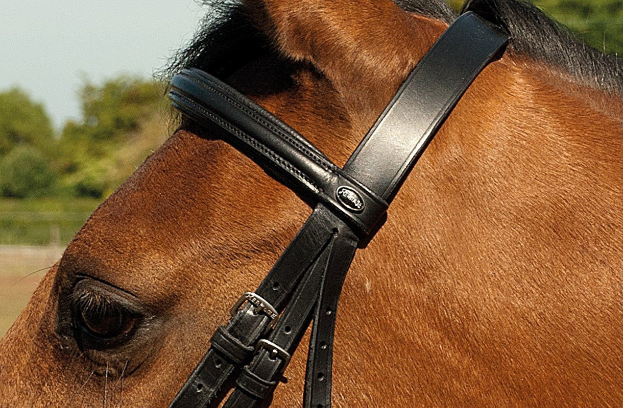 Heritage English Leather Cavesson Bridle - Top Of The Clops