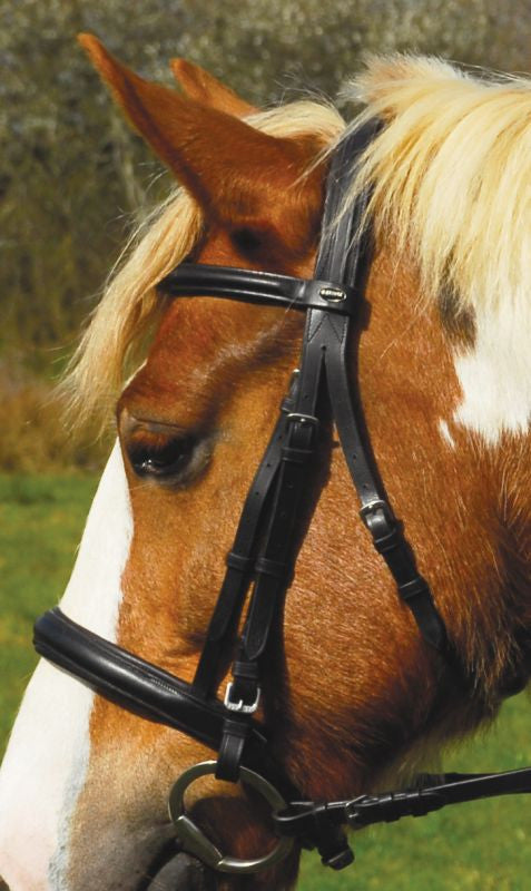 Heritage English Leather Comfort Cavesson Bridle - Top Of The Clops