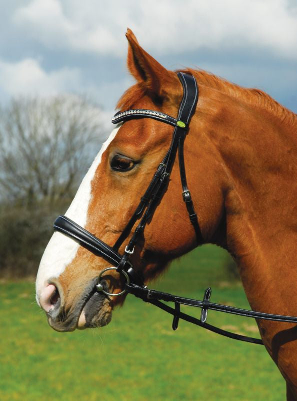 Rhinegold Anatomical Cavesson Bridle - Top Of The Clops