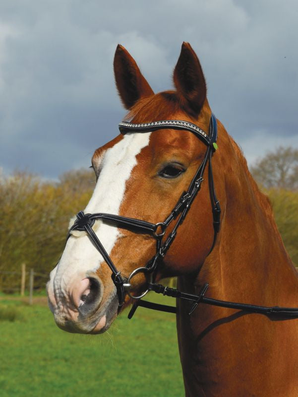 Rhinegold Anatomical Mexican Bridle - Top Of The Clops