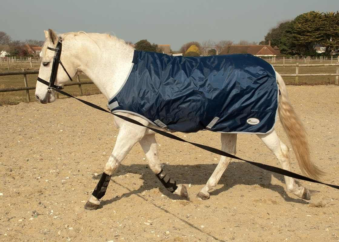 Rhinegold Horse Walker / Lunging Rug - Top Of The Clops