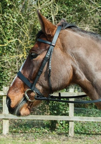 Windsor Leather Hunter Bridle - Top Of The Clops