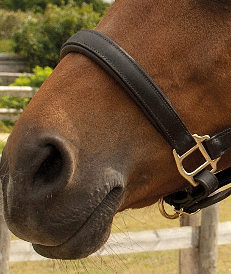 Heritage English Leather Padded Headcollar - Top Of The Clops