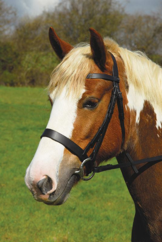 Heritage English Leather Hunter Bridle - Top Of The Clops