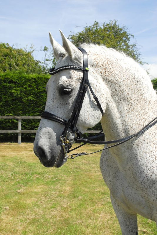 Rhinegold Anatomical Double Bridle - Top Of The Clops