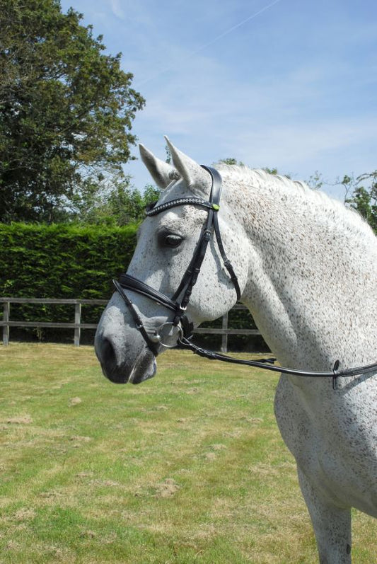 Rhinegold Anatomical Flash Bridle - Top Of The Clops