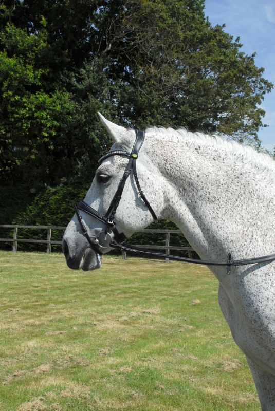 Rhinegold Anatomical Flash Bridle - Top Of The Clops
