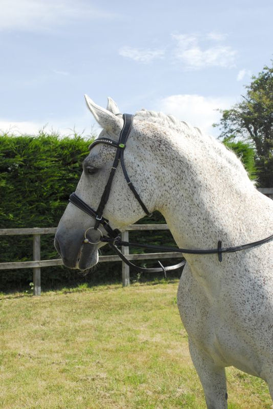 Rhinegold Anatomical Cavesson Bridle - Top Of The Clops