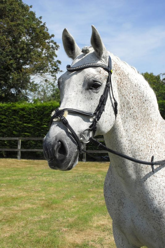 Rhinegold Anatomical Mexican Bridle - Top Of The Clops