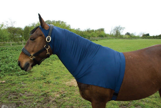 Rhinegold Satin Lycra Hood - Top Of The Clops