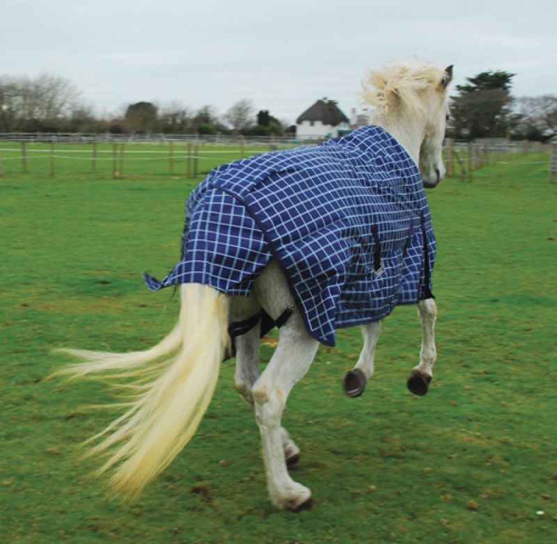 Rhinegold Atlanta Lightweight Fleece Lined Turnout Rug - Top Of The Clops
